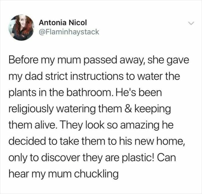 Text post by Antonia Nicol about her mom's happy habit of watering plastic bathroom plants, showing a wholesome mom moment.