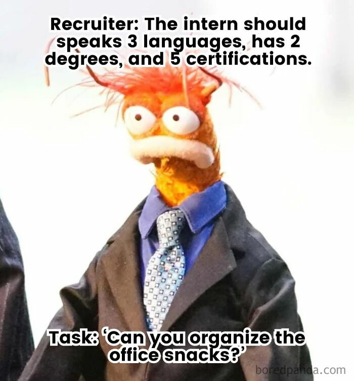 Muppet character in a suit with wide eyes, highlighting a funny work meme about unrealistic job expectations.