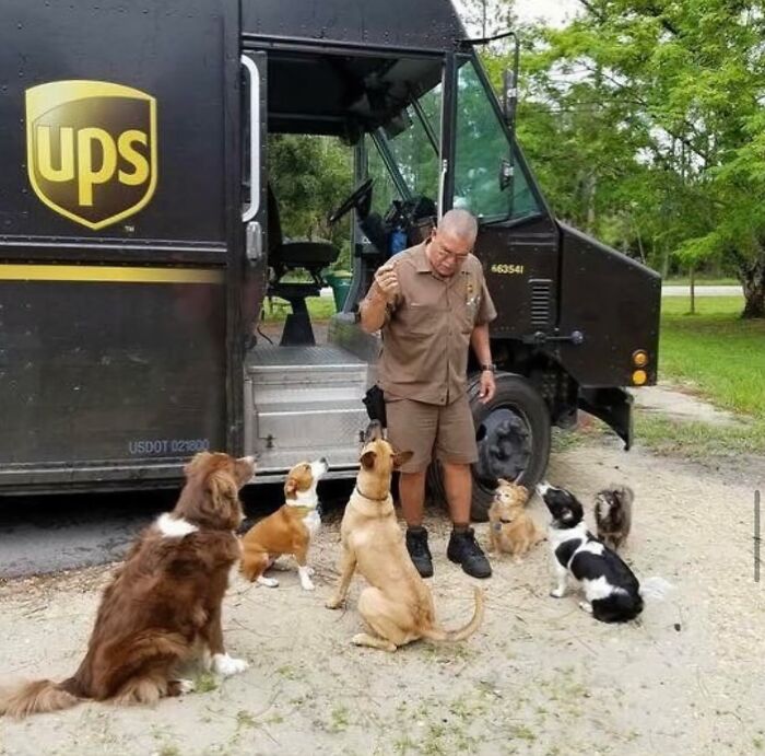 UPS driver interacting with six adorable pets outside a UPS delivery truck in a green outdoor setting.