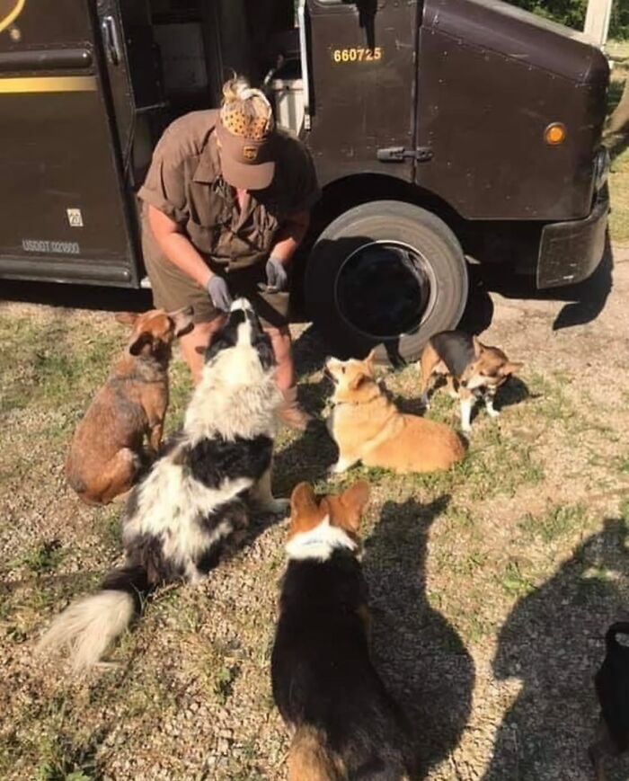 UPS driver interacting with adorable pets, surrounded by five dogs near a UPS truck on a sunny day outdoors.
