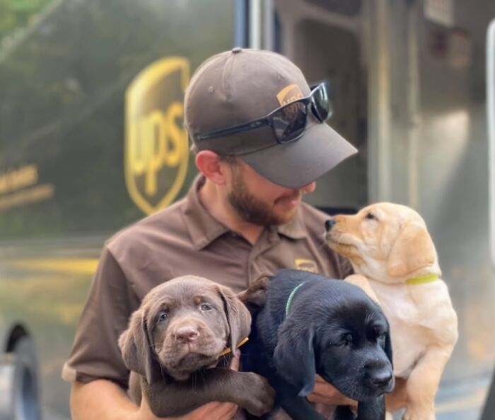UPS driver holding three adorable puppies in front of a UPS delivery truck during a pet encounter.