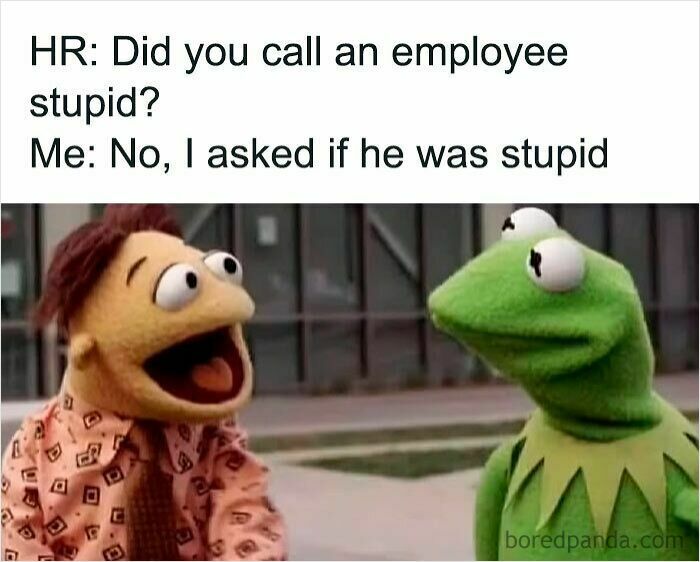 Work memes featuring Kermit and a puppet discussing calling an employee stupid in a humorous work setting.