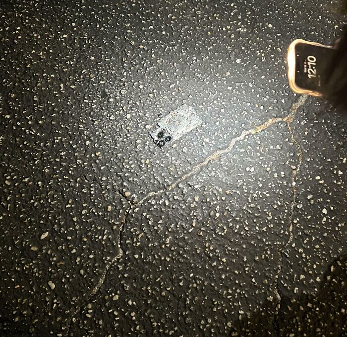 Smartphone shattered on rough pavement during vacation, illustrating one of the worst luck moments shared by people on vacation.