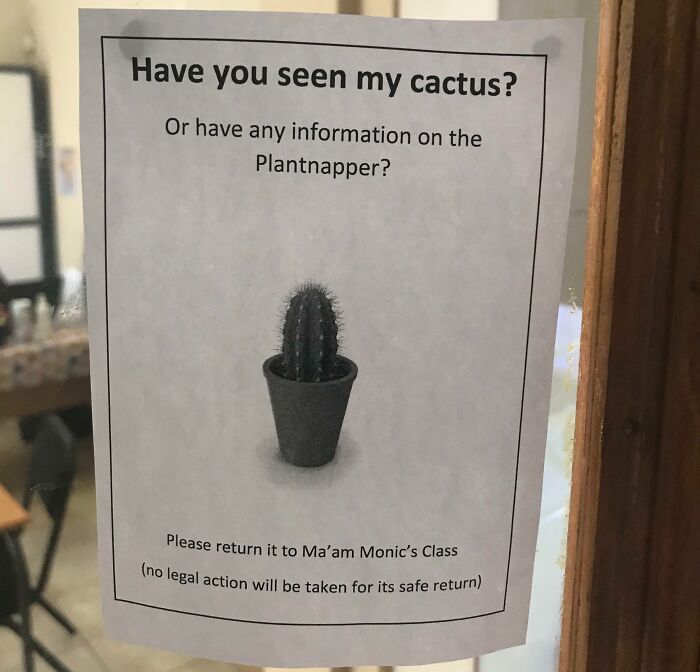 Funny teacher's lost cactus poster with a playful "Plantnapper" joke, showcasing creative humor in the classroom.