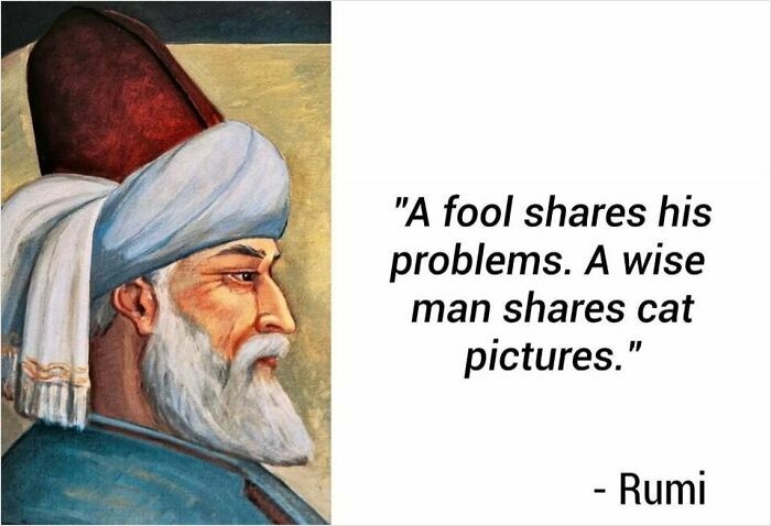 Portrait of a historical figure with a humorous quote, fitting hilarious archeology and history memes for fun learning.
