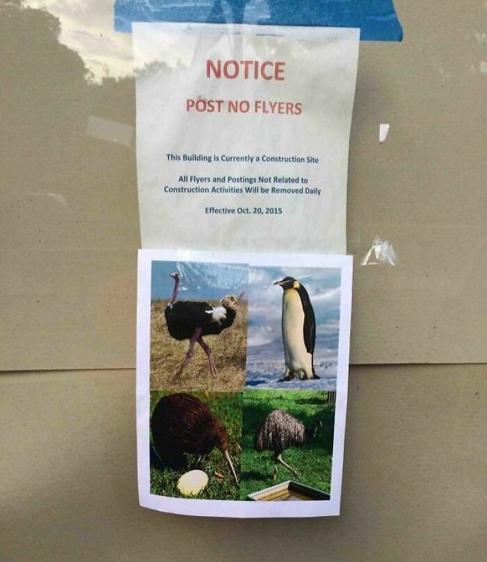 Passive-aggressive coworker note posted on glass with images of birds and a construction site warning.