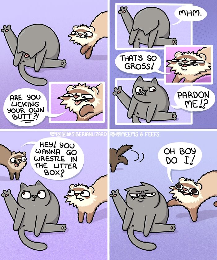Comic strip featuring a cat and ferret humorously interacting, illustrating life living with two ferrets and a cat.