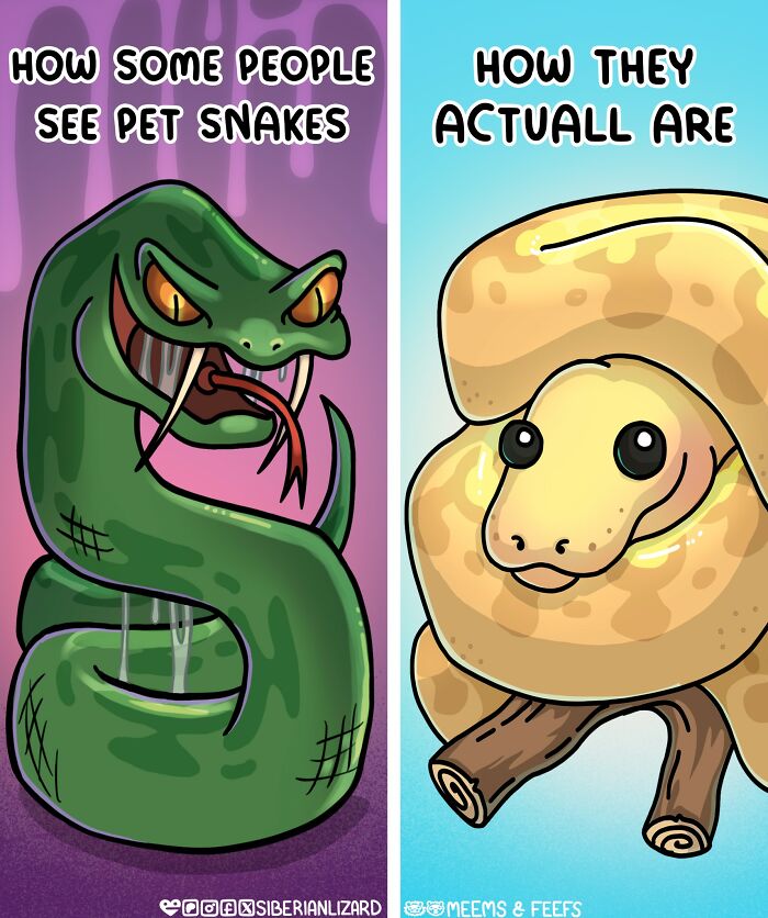 Cartoon showing contrast in pet snake appearance, illustrating humor in living with ferrets and a cat with pets.