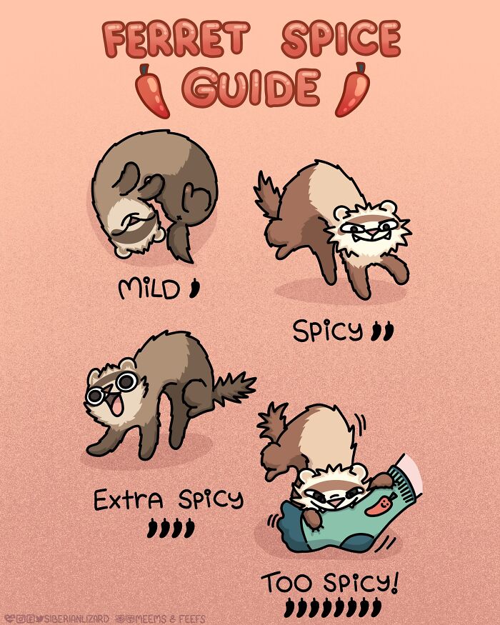 Cartoon ferrets illustrated with a spicy pepper rating guide, depicting different playful and mischievous ferret behaviors.