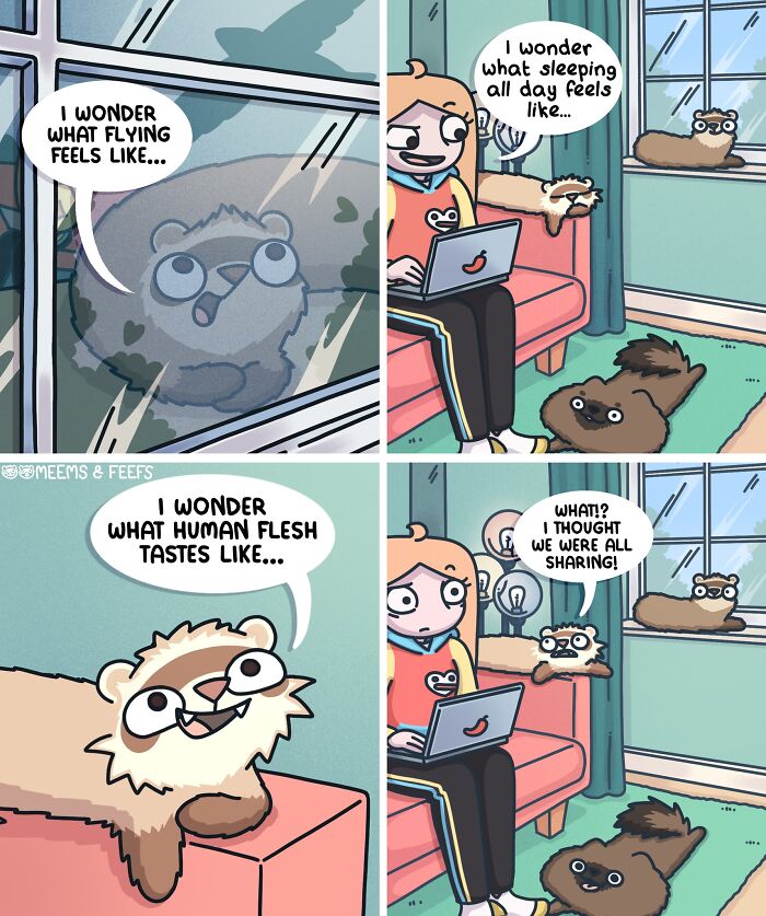 Comic panels showing artist living with two ferrets and a cat, humorously exploring their thoughts and interactions indoors.