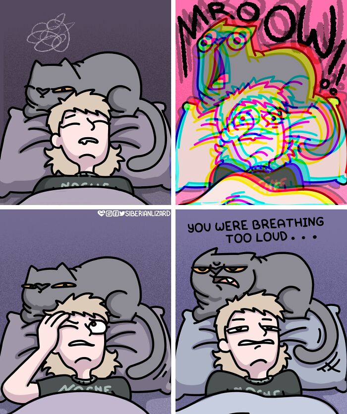 Cartoon showing challenges of living with a cat, depicting a person disturbed by the cat while trying to sleep.