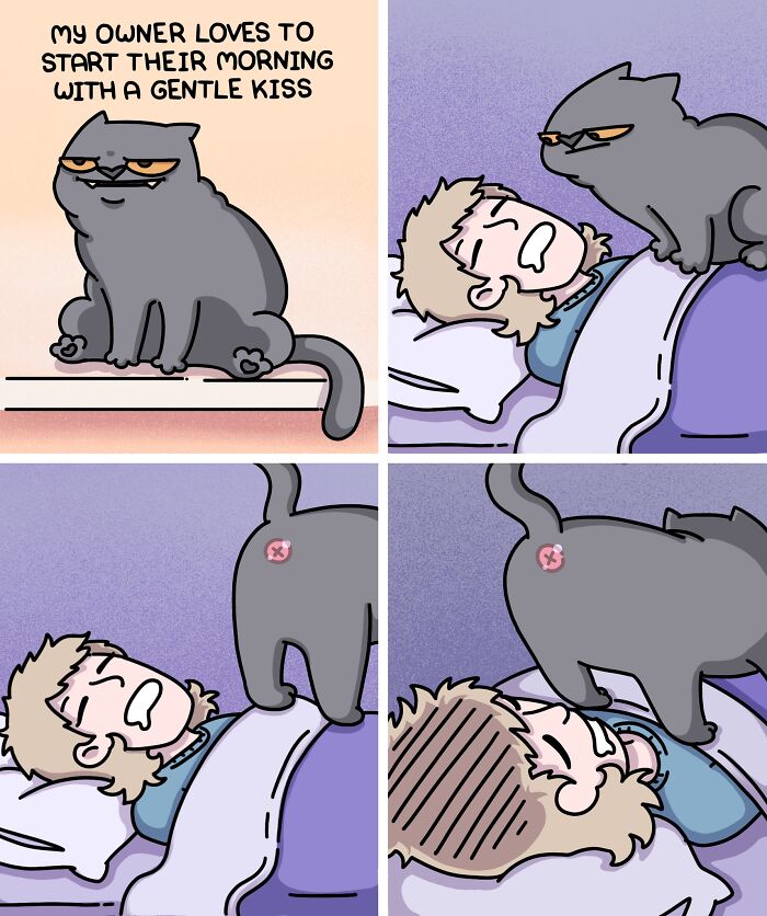 Cat and owner morning moments illustrated, showing daily life with two ferrets and a cat in a humorous comic style.