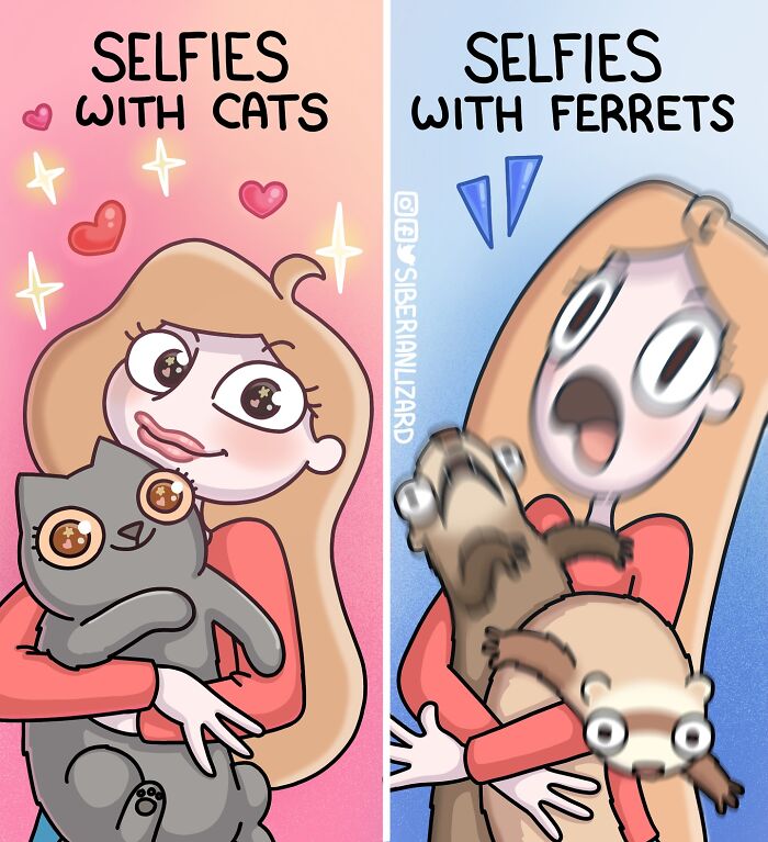 Cartoon illustrating selfies with cats showing calmness and selfies with ferrets showing chaotic energy, featuring two ferrets and a cat.