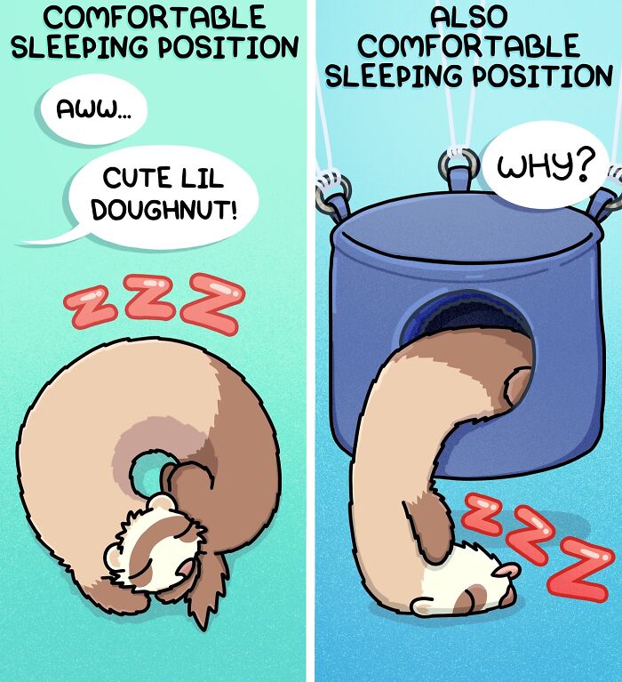 Cartoon ferret sleeping curled like a doughnut and hanging upside down in a cozy ferret hammock showing ferret living life.