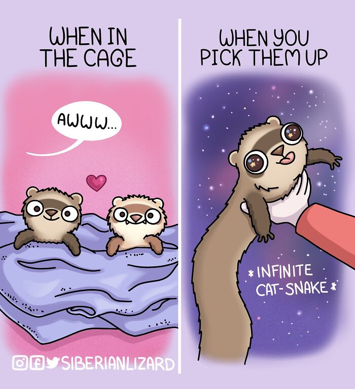 Two ferrets shown resting in cage and being held stretched out like an infinite cat-snake in a colorful comic style.