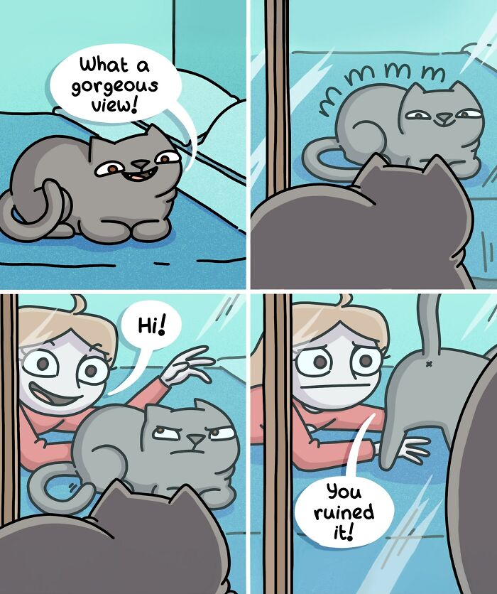 Cat looking at its reflection in the window, illustrating life with two ferrets and a cat in a humorous comic style.