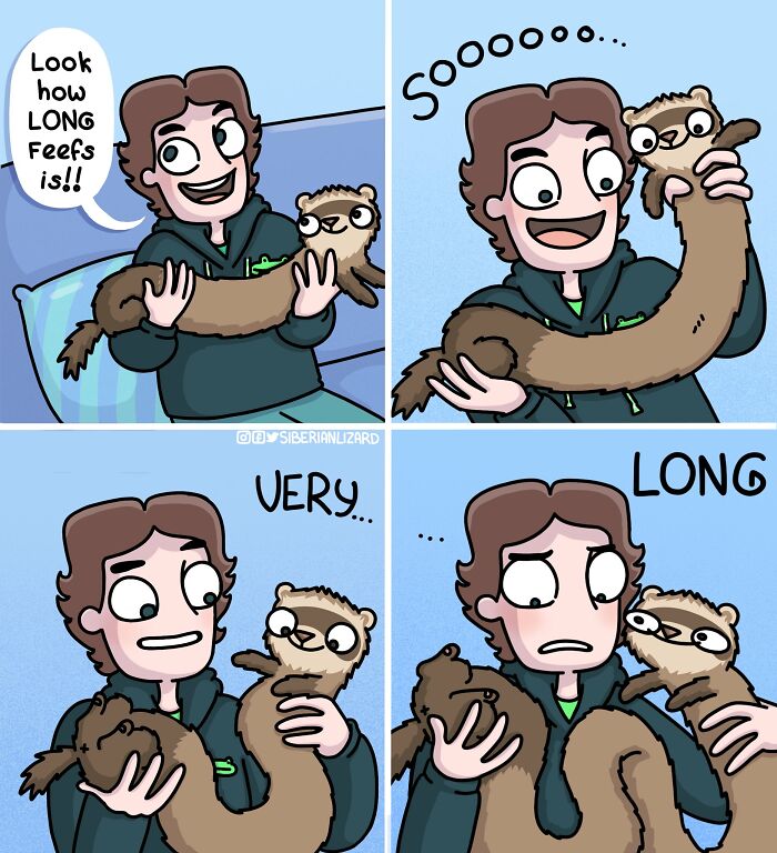 Cartoon artist holding and reacting to a very long ferret, illustrating life with two ferrets and a cat.
