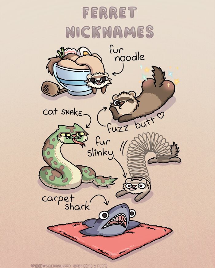Illustration showing playful ferret nicknames like fur noodle, fuzz b**t, cat snake, and carpet shark in a comic style.