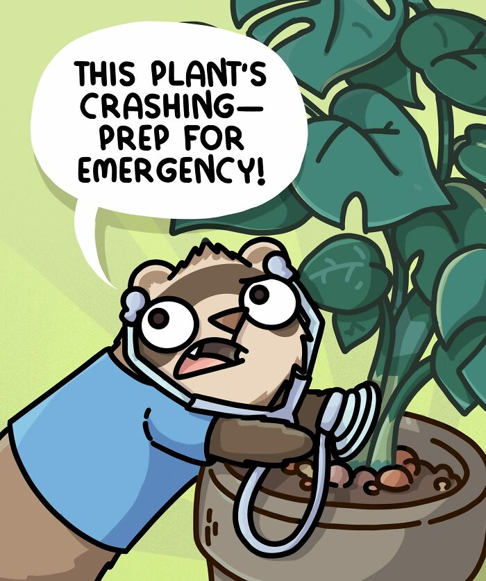 Cartoon ferret using stethoscope on a plant with speech bubble about plant crashing, living with ferrets and a cat.