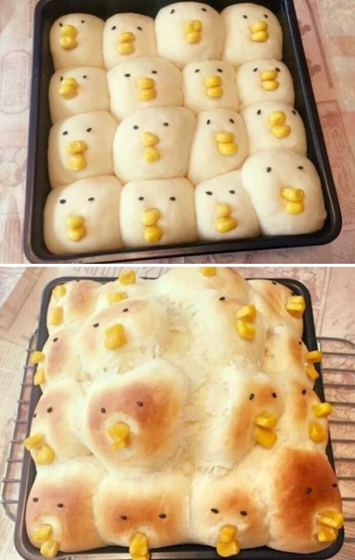 Baked bread rolls shaped like ducks before and after baking, showing unexpected results from online purchases.