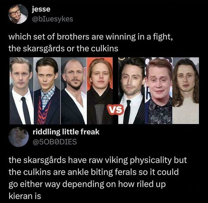 Screenshot of a humorous social media debate featuring unhinged sentences about the Skarsgårds and Culkin brothers.