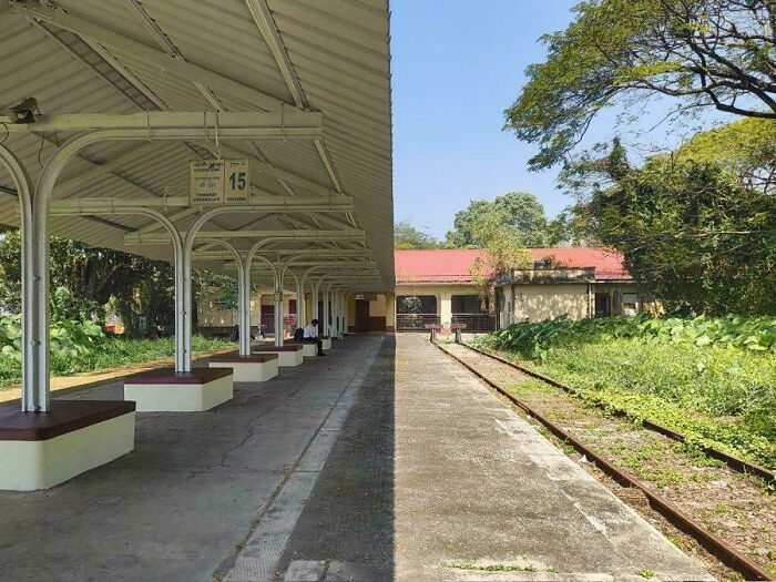 Empty train station platform with roof and greenery beside tracks under clear blue sky at sunrise.