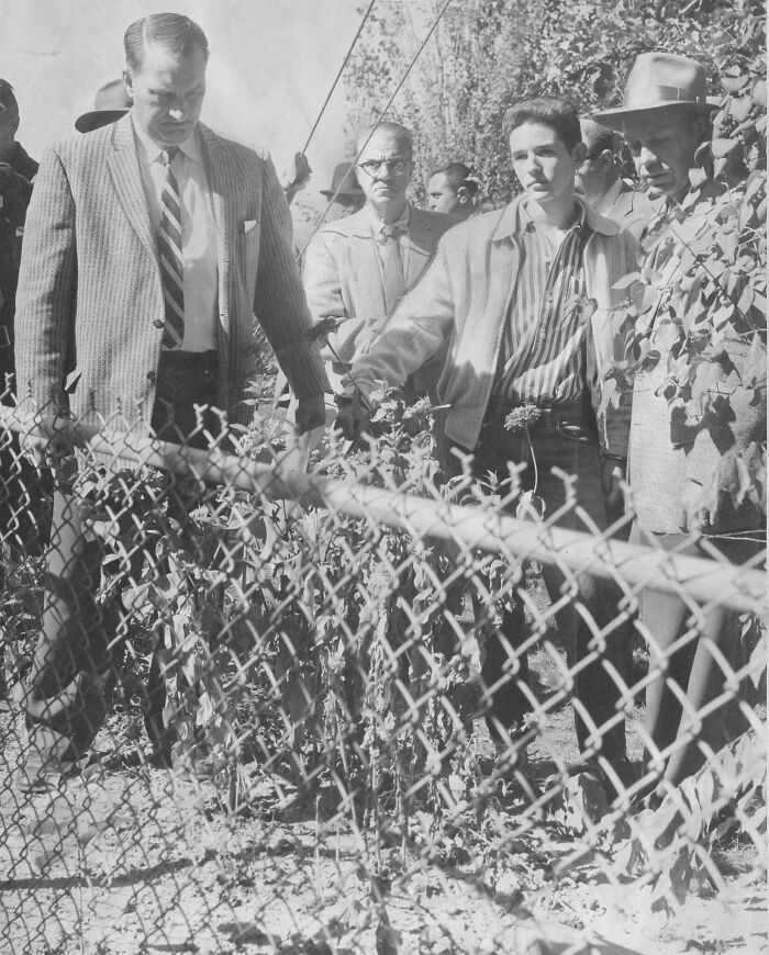 Group of men examining a fenced area with plants and trees, representing facts that still remain undiscovered.