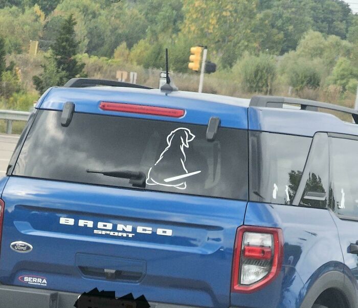 Blue Ford Bronco Sport with a decal of a dog on the rear window in a common sense fail parking lot.