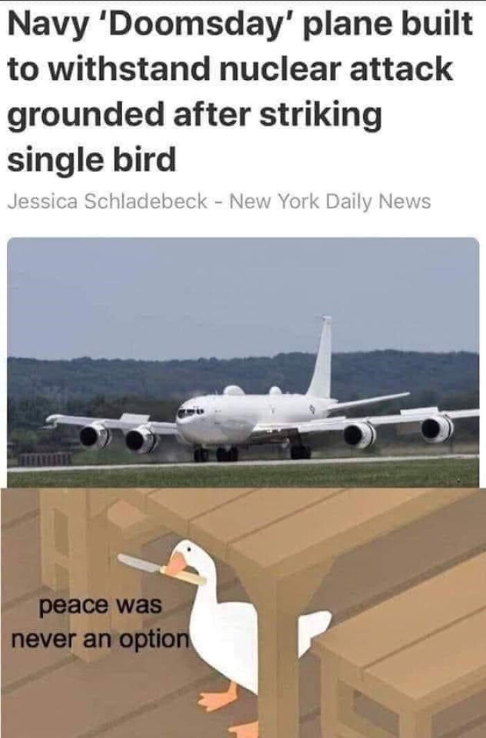 What Bird Brain Designed This Trash?