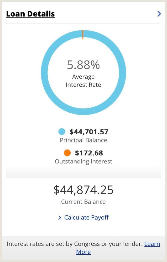 Loan details showing average interest rate of 5.88 percent and current balance of $44,874 in a financial dashboard.