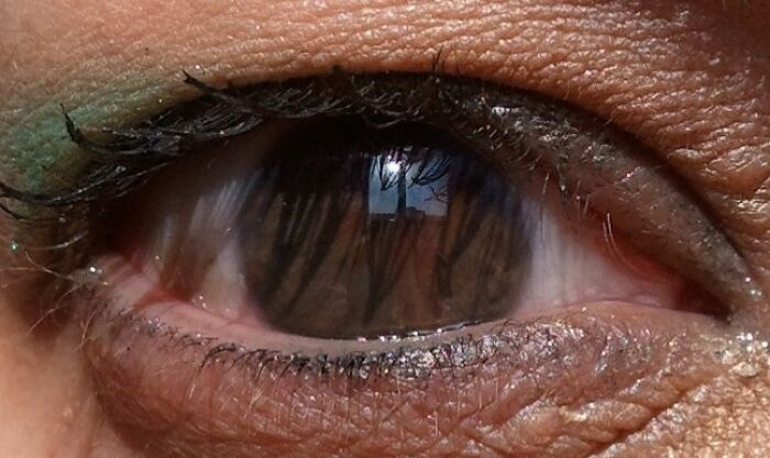 Close-up of a human eye showing rare and surprising features of the body in high detail and natural lighting.