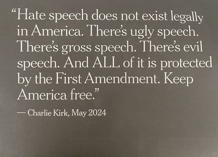 Quote about free speech and the First Amendment emphasizing protection of all types of speech in America.