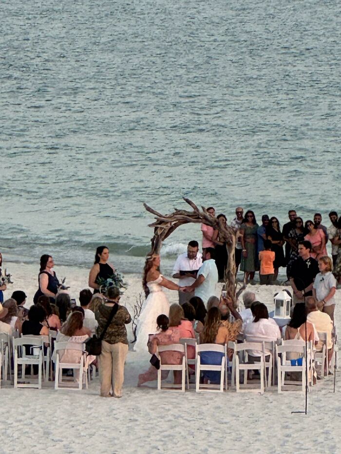 Beach wedding ceremony with bride and groom holding hands under a driftwood arch, surrounded by guests and wedding party.