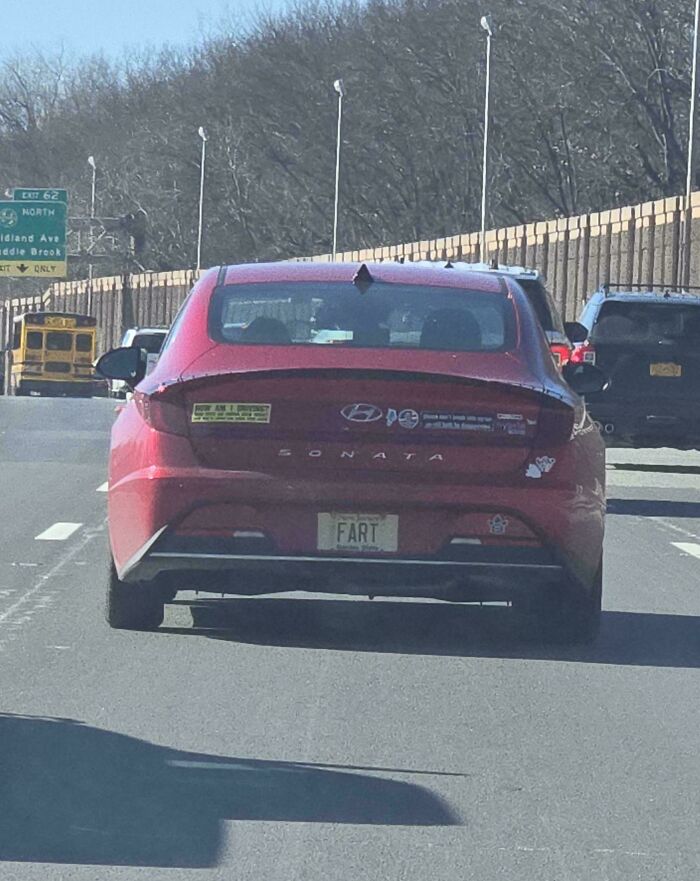 Red Hyundai Sonata on highway with humorous personalized FART license plate, showcasing one of the most nonsensical things that actually exist.