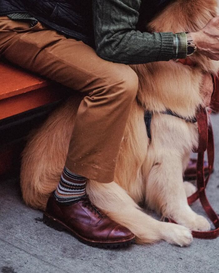 Man sitting on a bench with legs over a golden retriever dog, street photo by Greek photographer Marina Nota.