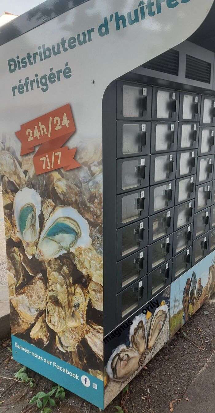 Refrigerated oyster vending machine with multiple compartments offering fresh seafood 24/7 outdoors.