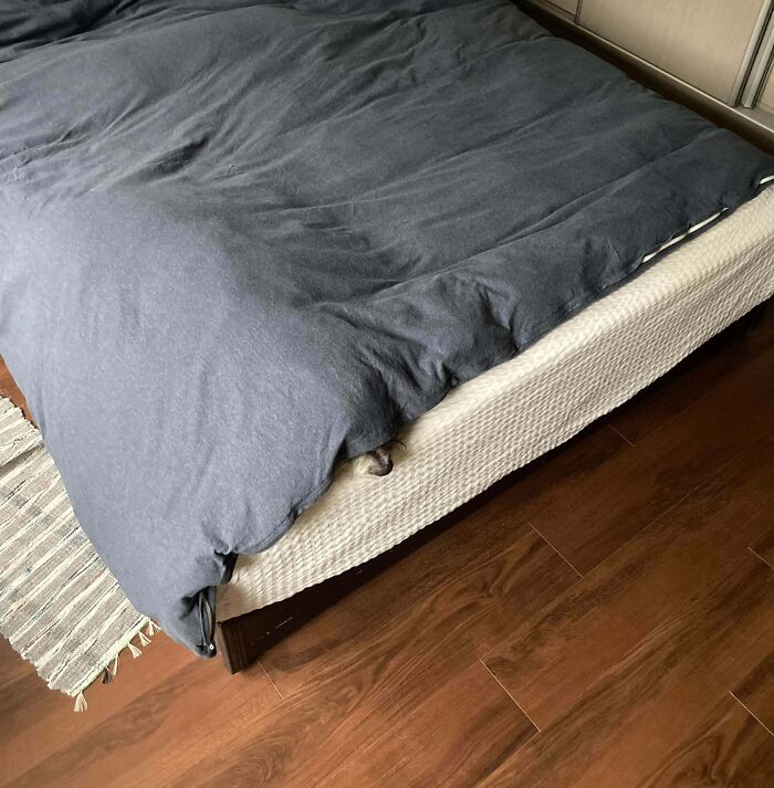 Cat hiding under a comforter on a bed but its paw is visible, showcasing pets trying to hide but doing a bad job.