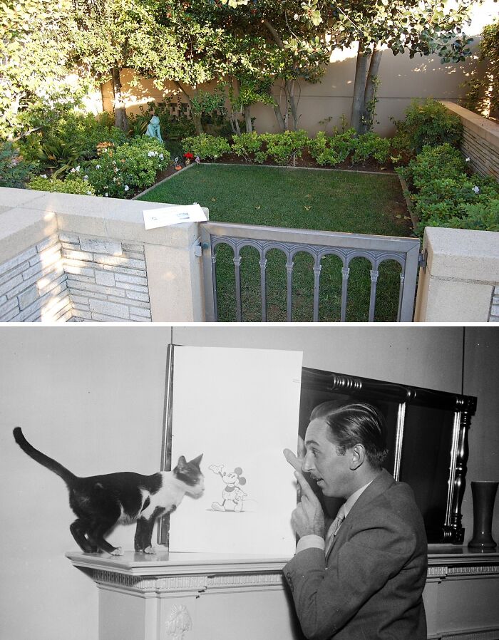 Grave site garden surrounded by greenery and black and white photo of a man with a cat, related to celebrity graves visitors.