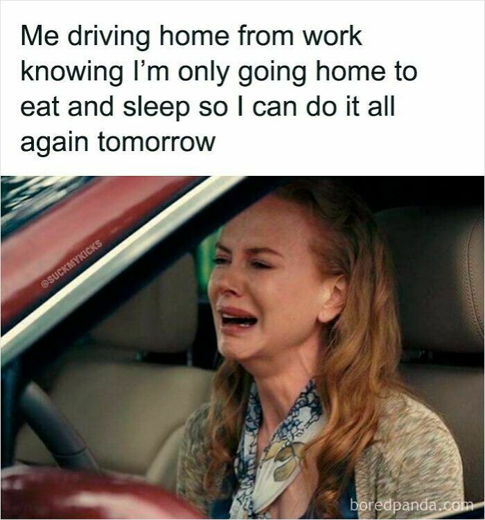 Woman crying in a car meme about the struggle of work and daily routine in spot-on work memes.