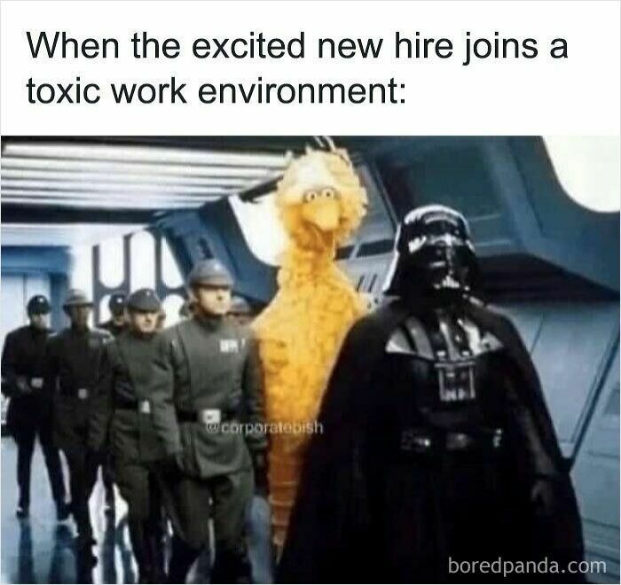 New hire in a toxic work environment meme featuring Big Bird among Star Wars characters, illustrating work meme humor.