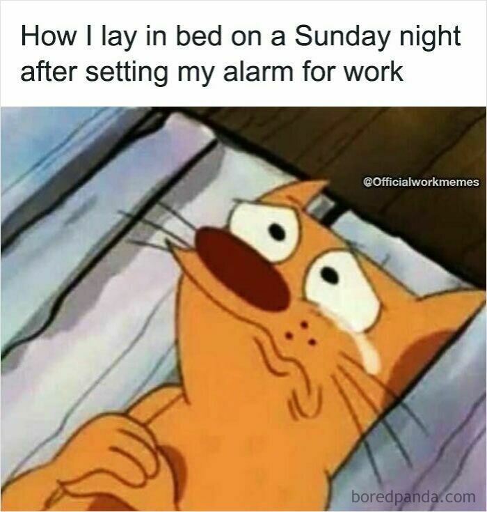 Cartoon cat lying awake in bed on a Sunday night after setting alarm for work, related to work memes and coffee break humor.