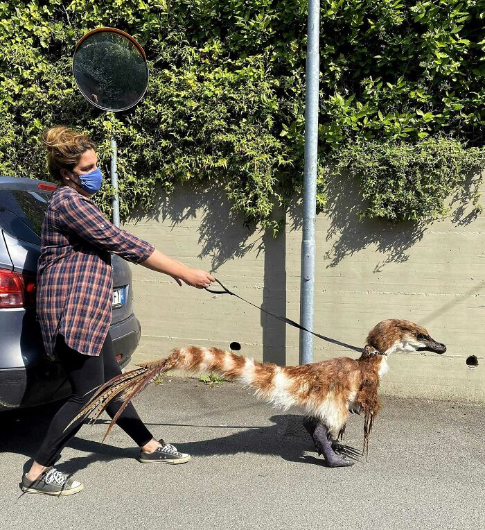 Woman wearing a mask walking a weird and cursed animal costume on a leash outside on a sunny day.