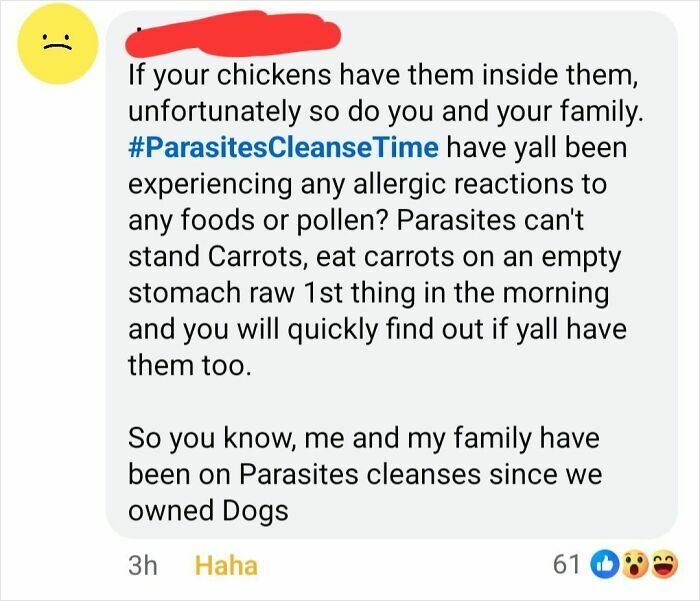 Social media comment about parasites cleanse and allergy reactions related to modern society scientific takes.