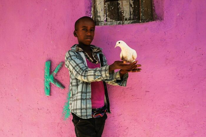 Child of the world holding a white dove against a bright pink wall in powerful photographs by Andrea Torrei