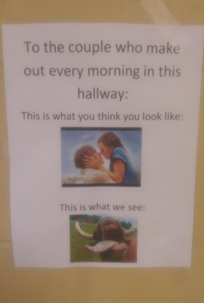 Funny teachers humor sign comparing romantic couple to a cow with tongue out in a school hallway.