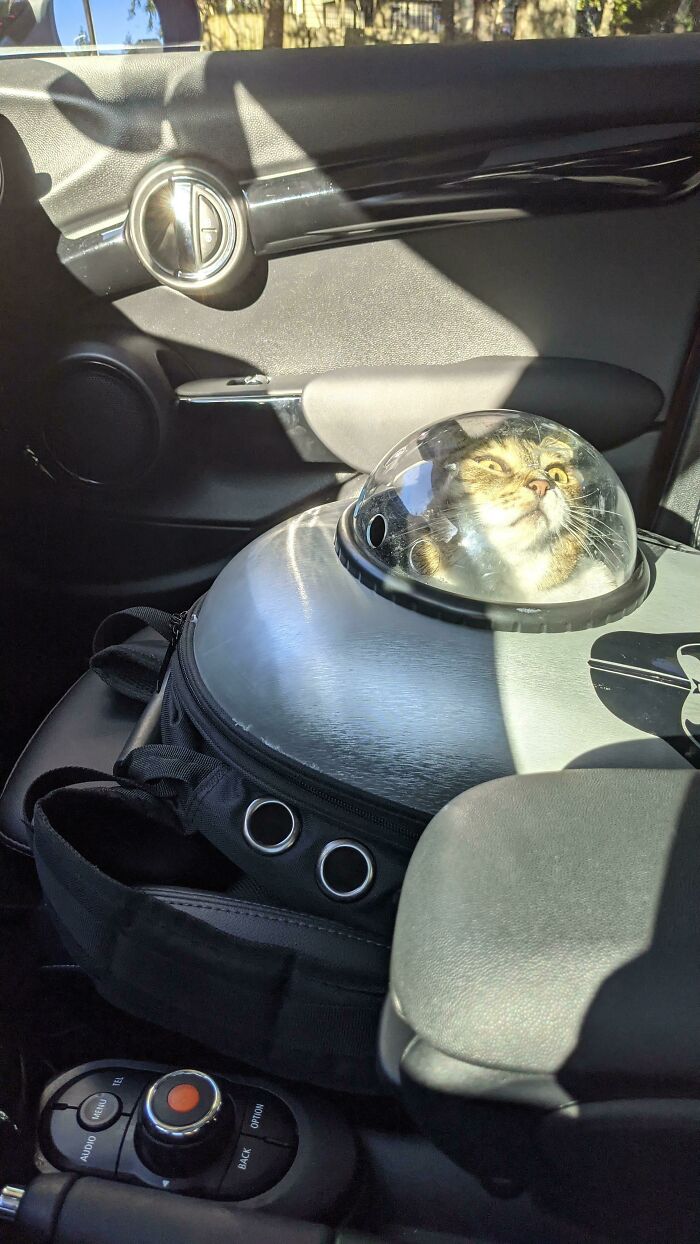 Cat inside a futuristic space capsule carrier, sitting in a car seat with sunlight casting shadows around.