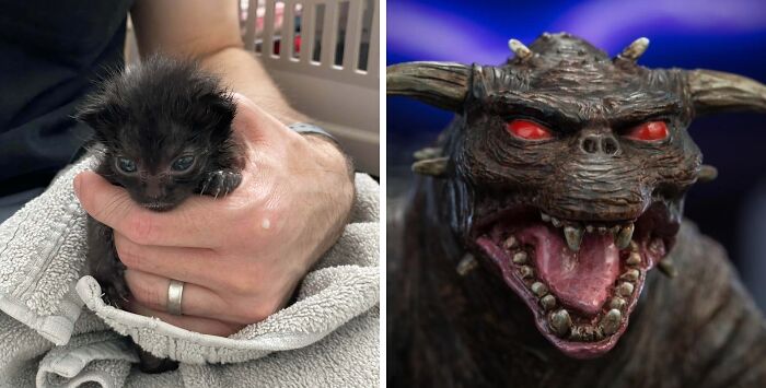 Tiny black kitten with large eyes held in hands next to a creature with red eyes and sharp teeth, resembling an alien.