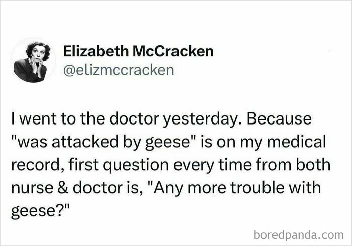 Tweet humorously describing a medical record note about being attacked by geese, showcasing people hilariously speaking their truth.