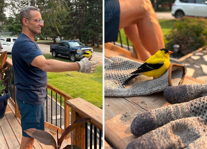 Man on porch holding a yellow bird on gloved hand, showing a funny and wholesome moment shared by parents and kids.