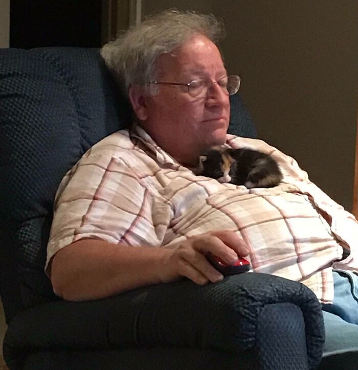 Older man relaxing in chair with kitten on his chest, showcasing funny and wholesome moments parents share with their kids.
